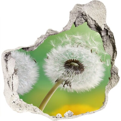 3D muursticker effect gat in de muur Paardenbloemen op een groene achtergrond