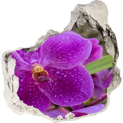 3D wandsticker gat in de muur Orchideebloem in een gat in de muur