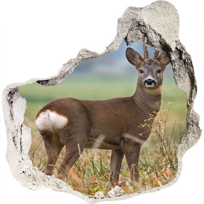 Zelfklevende muursticker 3D gat Reeën in hun natuurlijke leefomgeving