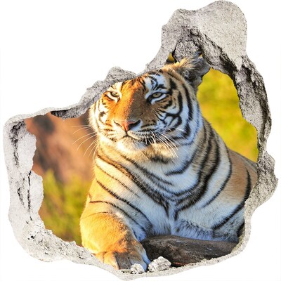 3D wandsticker gat in de muur Tijger in zijn natuurlijke habitat