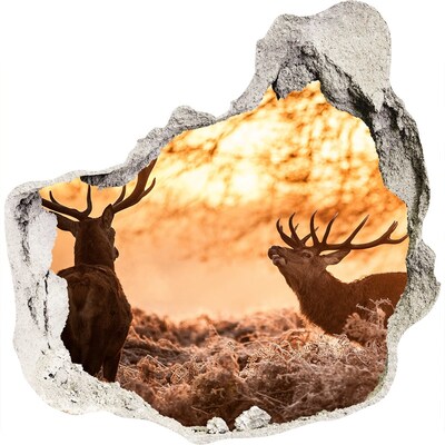 3D wandsticker gat in de muur Zonsopgang in het bos