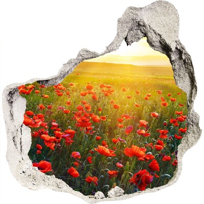 3D muursticker effect gat in de muur Bloemenlandschap in de weide