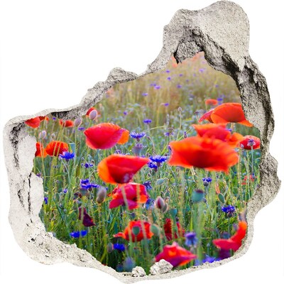 3D muursticker effect gat in de muur Bloemenveld in de muur