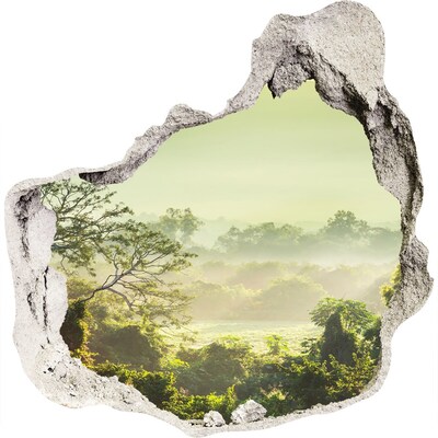 3D muursticker effect gat in de muur Groene vallei in de mist