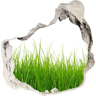 Zelfklevende muursticker 3D gat Een groene weide achter de muur