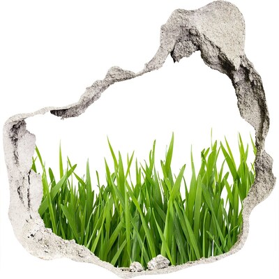 3D muursticker effect gat in de muur Een groene weide achter de muur