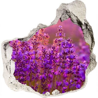 3D wandsticker gat in de muur Lavendelbloemenweide