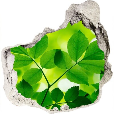 Zelfklevende muursticker 3D gat Een groene oase in beton.
