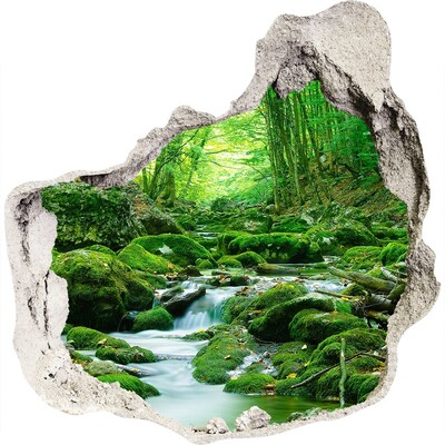 3D muursticker effect gat in de muur Groene beek in het bos