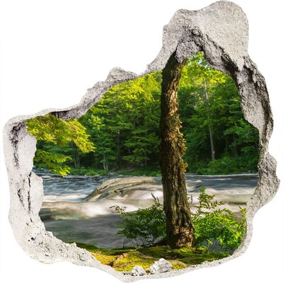 3D muursticker effect gat in de muur Groen bos aan de rivier
