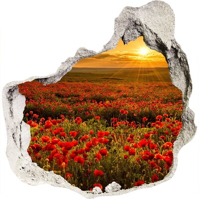 3D muursticker effect gat in de muur Bloemenlandschap bij zonsondergang