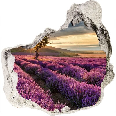 3D muursticker effect gat in de muur Lavendelvelden bij zonsondergang