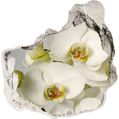 3D muursticker effect gat in de muur Bloemen in beton