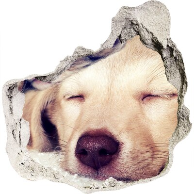 3D wandsticker gat in de muur Schattige hond in een gat in de muur
