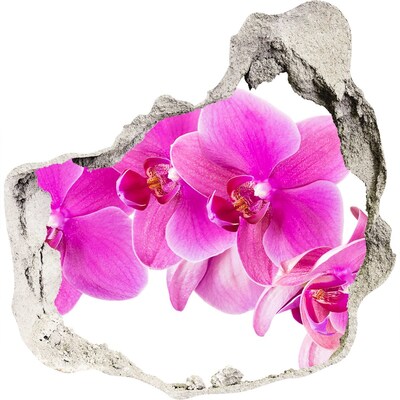 3D muursticker effect gat in de muur Orchideeën in een betonnen gat