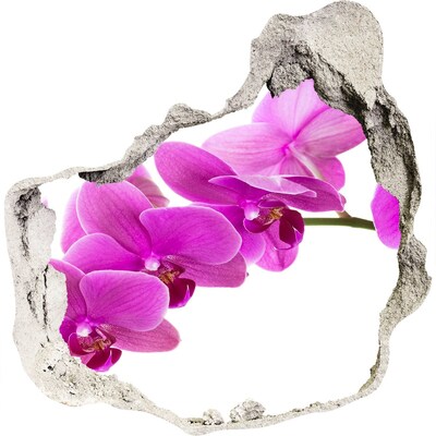 3D muursticker effect gat in de muur Orchideeën door een gat in de muur