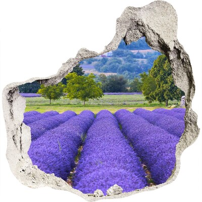 3D wandsticker gat in de muur Lavendelvelden in de Provence