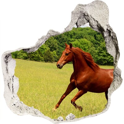 3D muursticker effect gat in de muur Galopperend paard in een schilderachtige weide