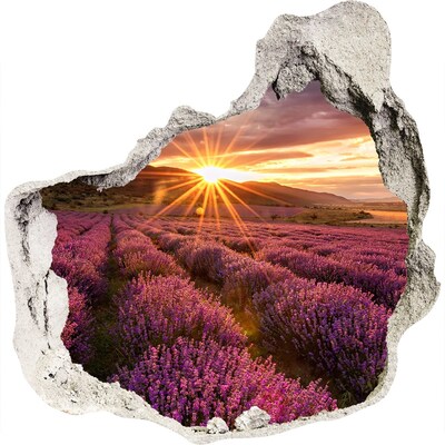 3D muursticker effect gat in de muur Lavendelveld bij zonsondergang
