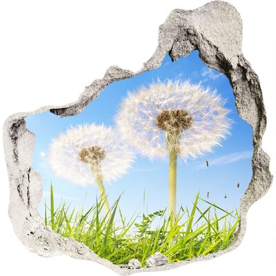 3D wandsticker gat in de muur Paardenbloemen in de lucht