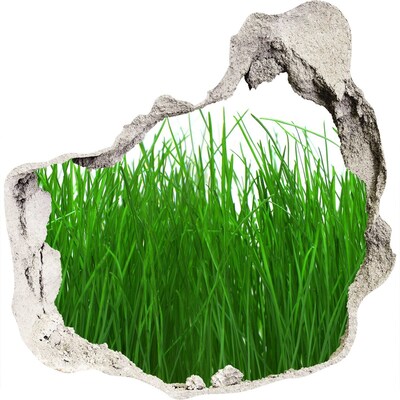 Zelfklevende muursticker 3D gat Groene weide door een gat in de muur