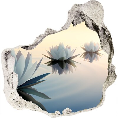 3D wandsticker gat in de muur Waterbloemen op het kalme wateroppervlak.