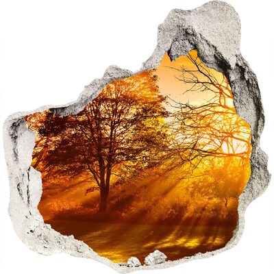 3D muursticker effect gat in de muur Gouden zonnestralen in het bos