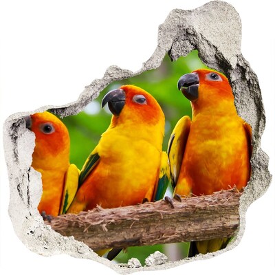 3D muursticker effect gat in de muur Tropische papegaaien in een gat in de muur