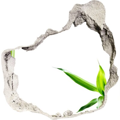 3D wandsticker gat in de muur Groene plant door een gat in de muur