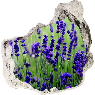 3D wandsticker gat in de muur Lavendelbloemenweide