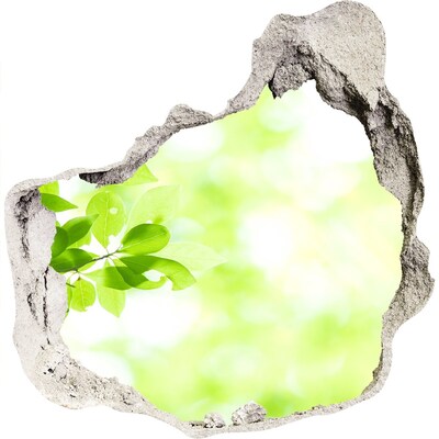 3D wandsticker gat in de muur Groen paradijs achter de muur