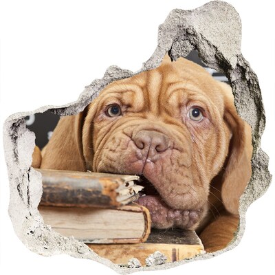 3D muursticker effect gat in de muur Een lief puppy tussen de boeken