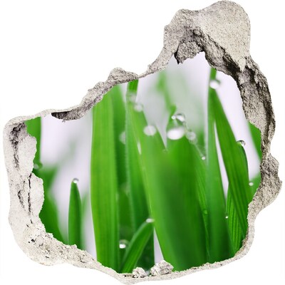 3D wandsticker gat in de muur Groene weide met waterdruppels