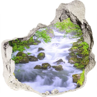 3D wandsticker gat in de muur Waterval in het groene bos