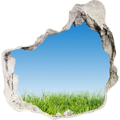 Zelfklevende muursticker 3D gat Groene weide onder een blauwe hemel