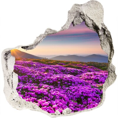 3D wandsticker gat in de muur Bloemenlandschap in de bergen