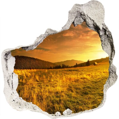 3D wandsticker gat in de muur Gouden weide bij zonsondergang