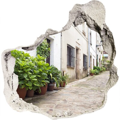 3D muursticker effect gat in de muur Een charmante straat met begroeiing.