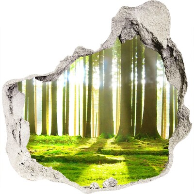 Zelfklevende muursticker 3D gat Groen bos met zonnestralen
