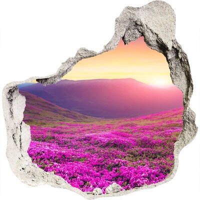 3D wandsticker gat in de muur Bloemenvallei bij zonsondergang
