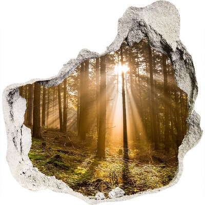 3D muursticker effect gat in de muur Een oase van licht in het bos