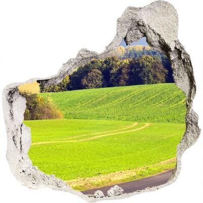 3D wandsticker gat in de muur Een groene weide achter de muur