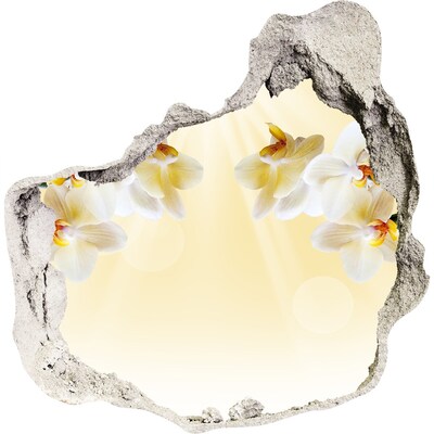 Zelfklevende muursticker 3D gat Een bloemenparadijs achter de muur