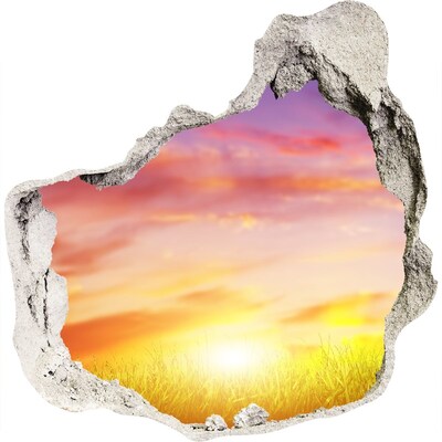 Zelfklevende muursticker 3D gat Zonsondergang boven de weide