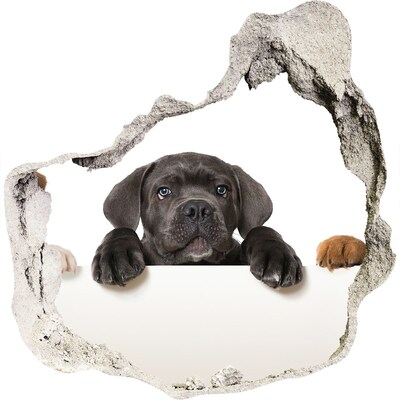 3D muursticker effect gat in de muur Lief puppy'tje van achter de muur