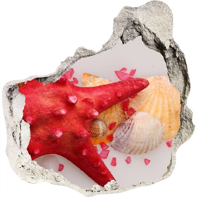 3D wandsticker gat in de muur Onderwaterwereld met schelpen