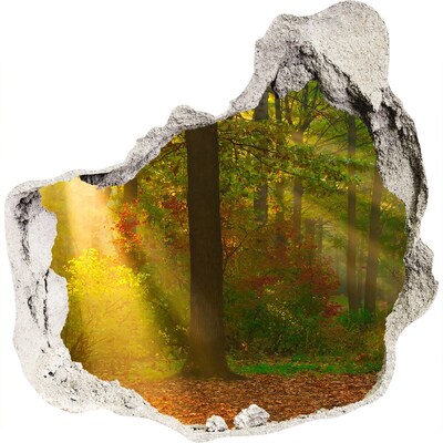 3D wandsticker gat in de muur Herfstlandschap van het bos