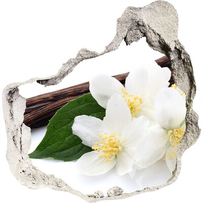 3D wandsticker gat in de muur Jasmijnbloemen in beton