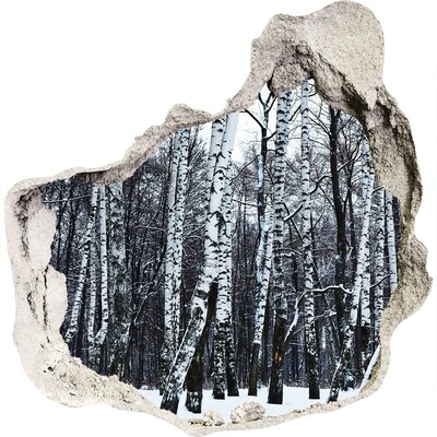 3D muursticker effect gat in de muur Winterberkenbos