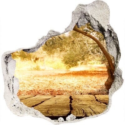 3D wandsticker gat in de muur Tuin in de zon